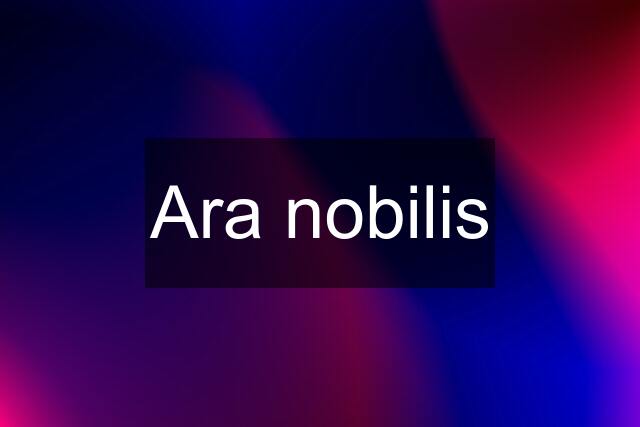 Ara nobilis