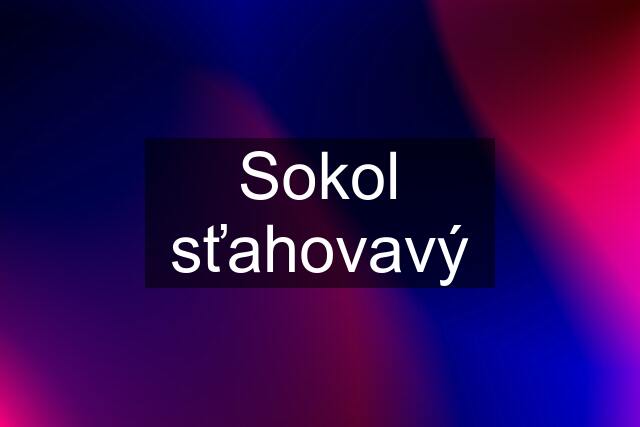 Sokol sťahovavý