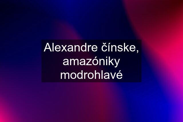 Alexandre čínske, amazóniky modrohlavé