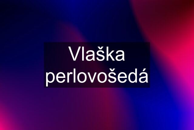 Vlaška perlovošedá