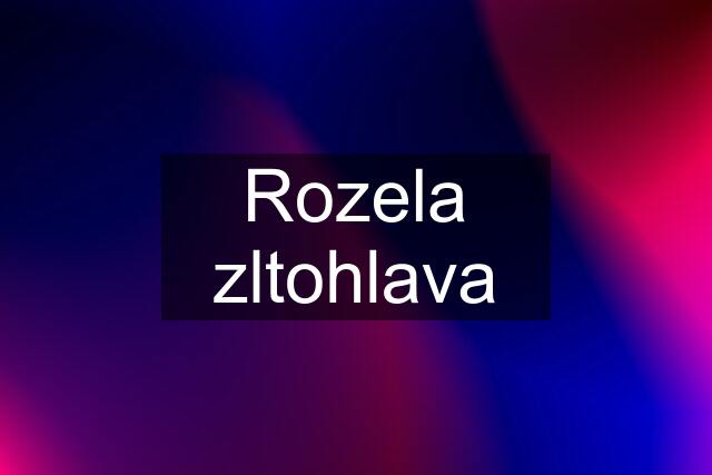 Rozela zltohlava