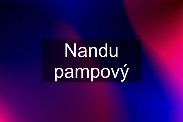 Nandu pampový