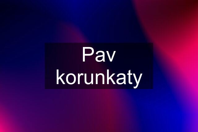 Pav korunkaty