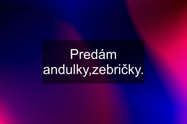 Predám andulky,zebričky.