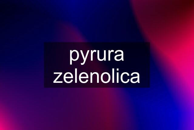 pyrura zelenolica