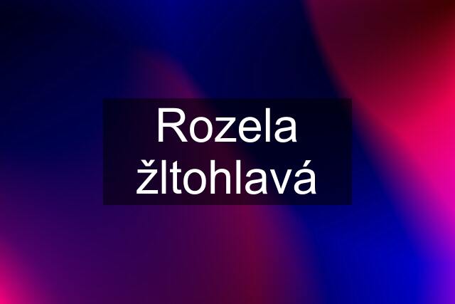 Rozela žltohlavá