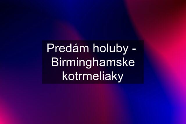 Predám holuby -  Birminghamske kotrmeliaky