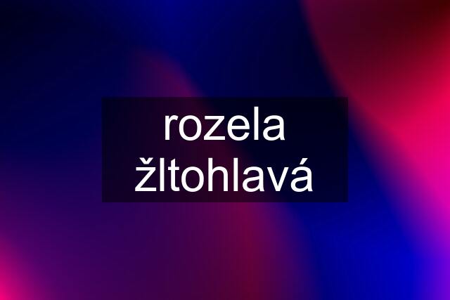 rozela žltohlavá