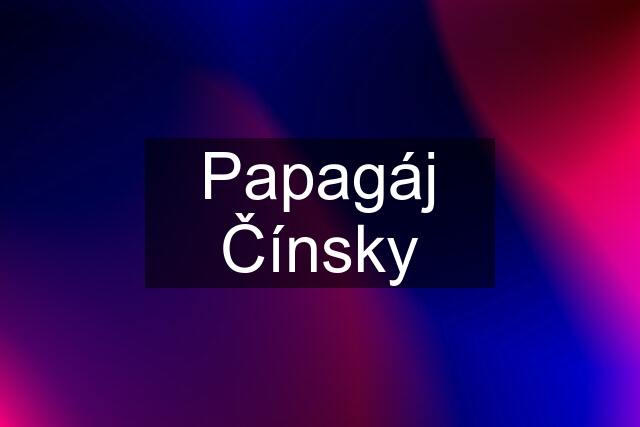 Papagáj Čínsky