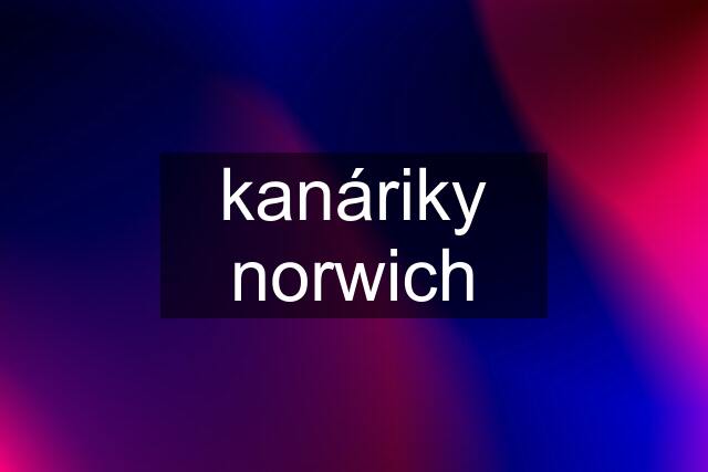 kanáriky norwich