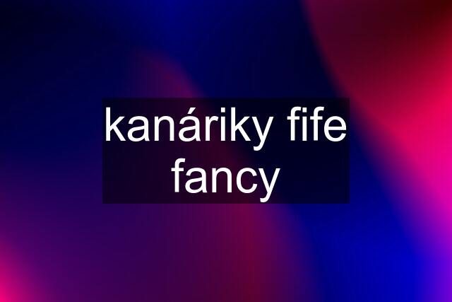 kanáriky fife fancy