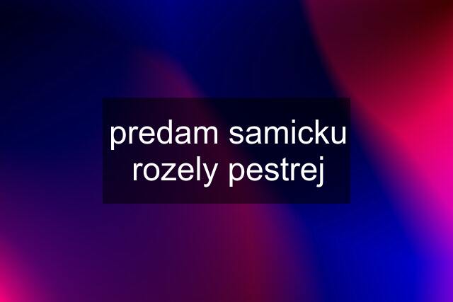 predam samicku rozely pestrej