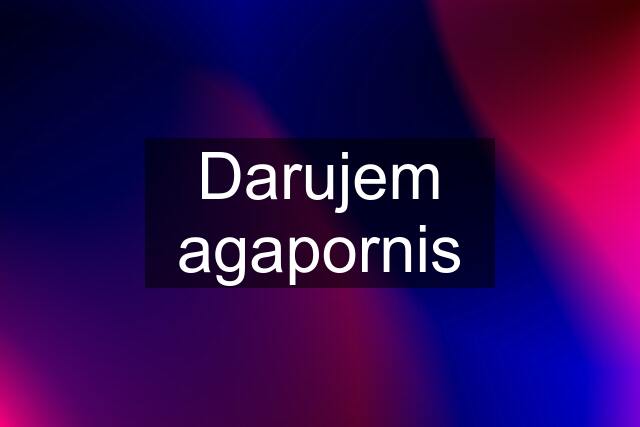 Darujem agapornis