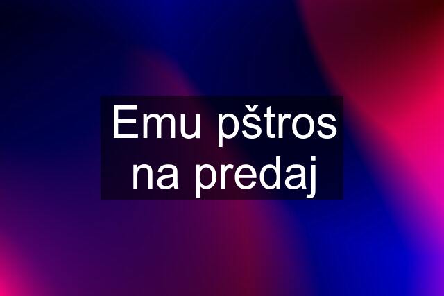 Emu pštros na predaj