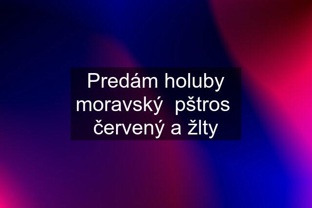 Predám holuby moravský  pštros  červený a žlty