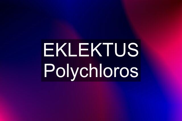 EKLEKTUS Polychloros