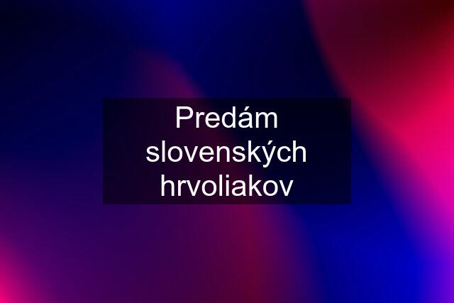 Predám slovenských hrvoliakov