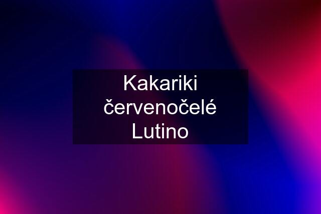 Kakariki červenočelé Lutino