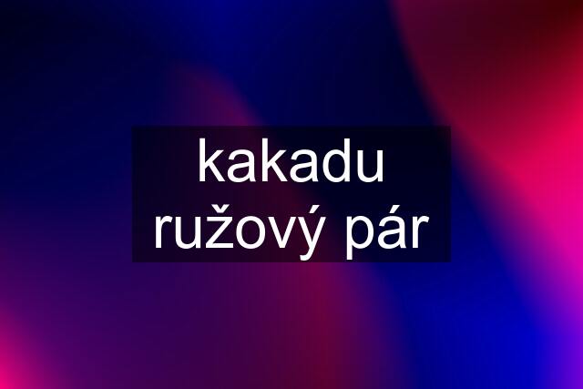 kakadu ružový pár