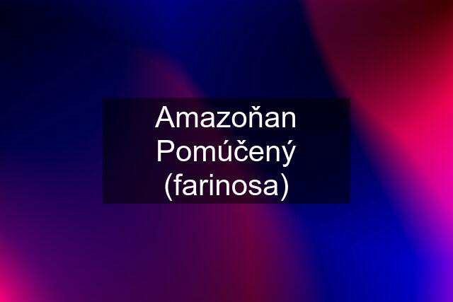 Amazoňan Pomúčený (farinosa)