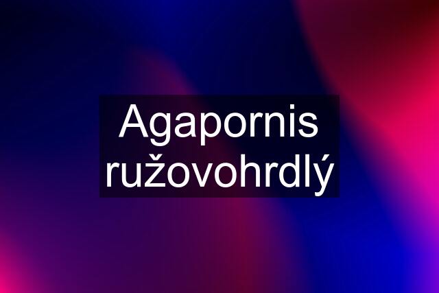 Agapornis ružovohrdlý