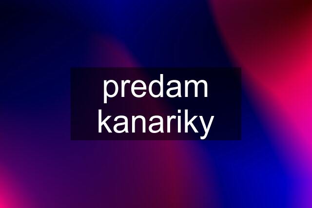 predam kanariky