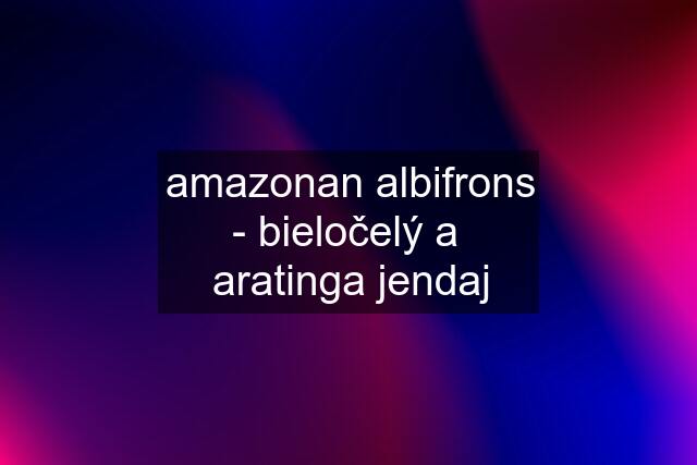 amazonan albifrons - bieločelý a  aratinga jendaj