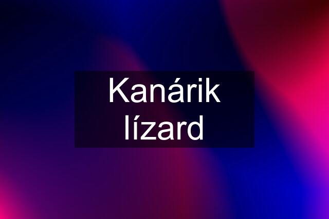 Kanárik lízard