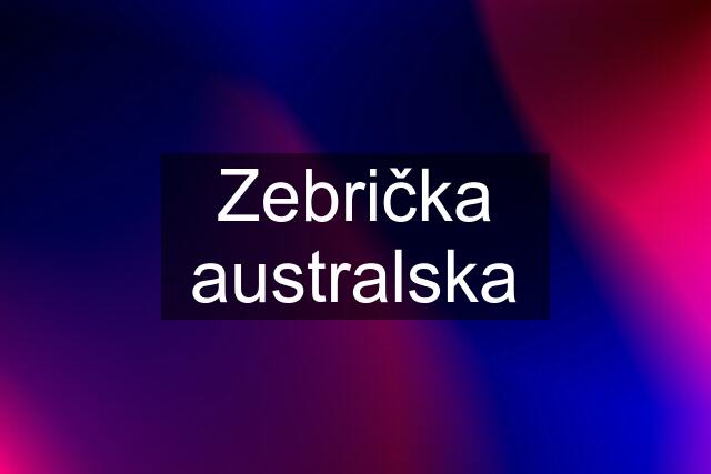 Zebrička australska