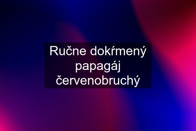 Ručne dokŕmený papagáj červenobruchý