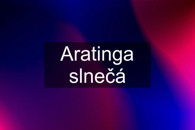 Aratinga slnečá