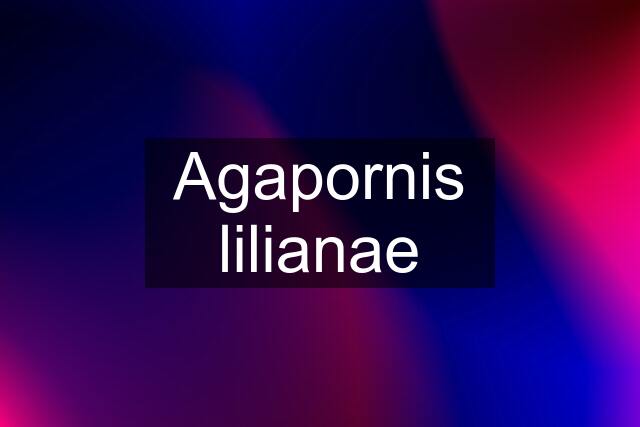 Agapornis lilianae