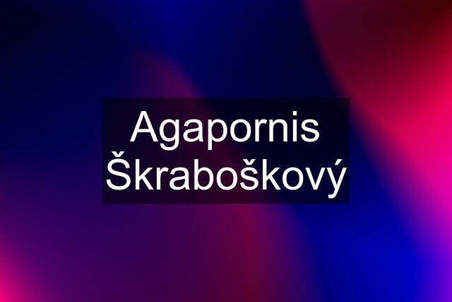 Agapornis Škraboškový