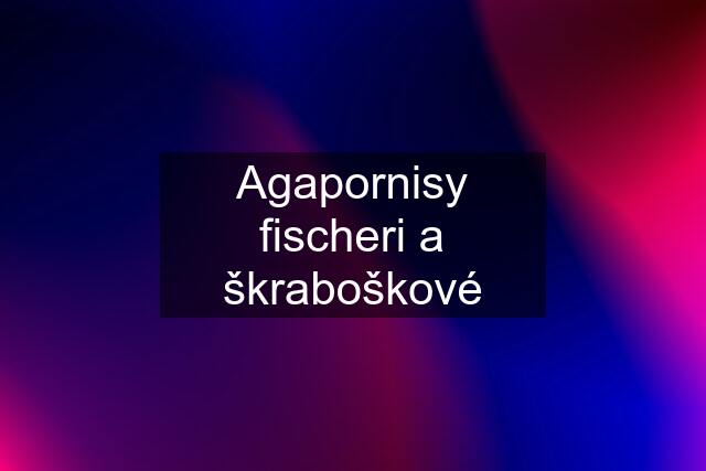 Agapornisy fischeri a škraboškové