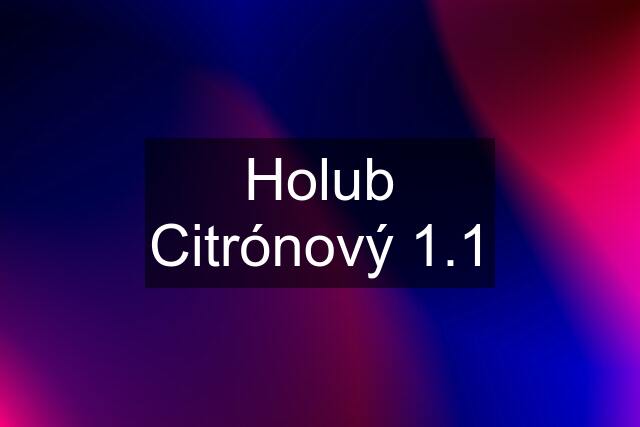 Holub Citrónový 1.1