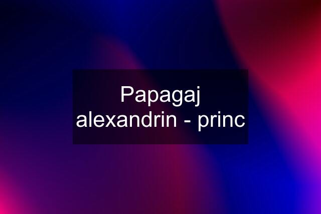 Papagaj alexandrin - princ