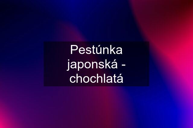 Pestúnka japonská - chochlatá