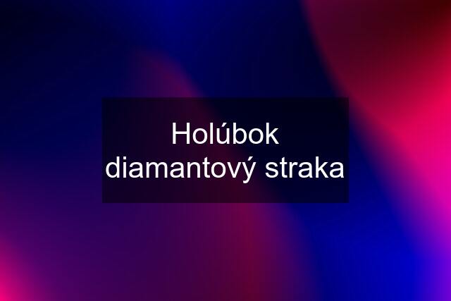 Holúbok diamantový straka