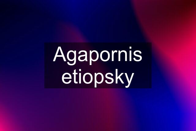 Agapornis etiopsky