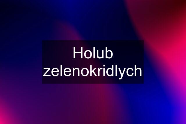 Holub zelenokridlych