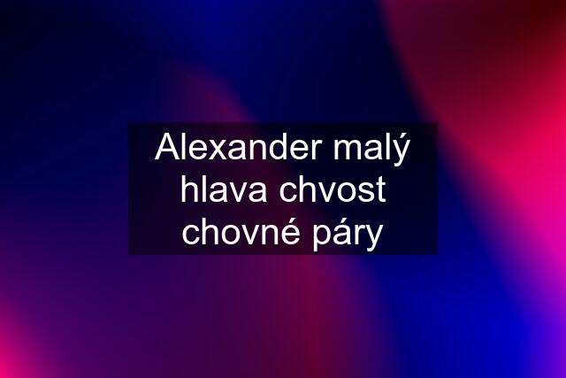 Alexander malý hlava chvost chovné páry