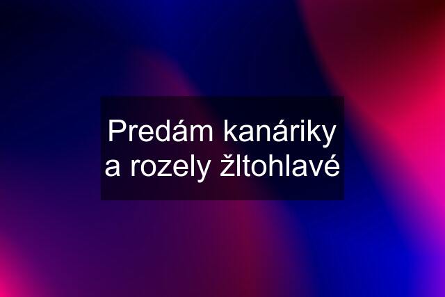 Predám kanáriky a rozely žltohlavé