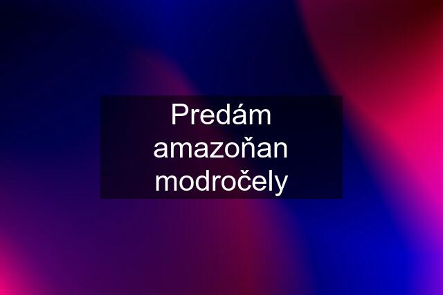 Predám amazoňan modročely