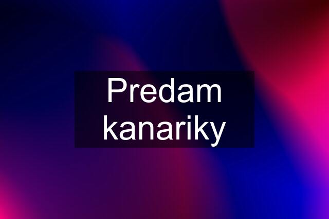 Predam kanariky