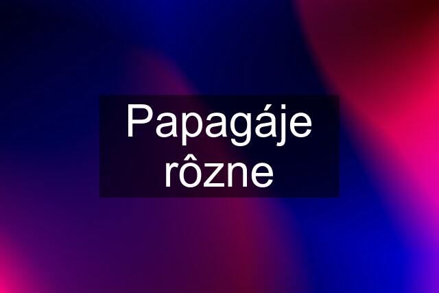 Papagáje rôzne