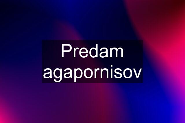 Predam agapornisov