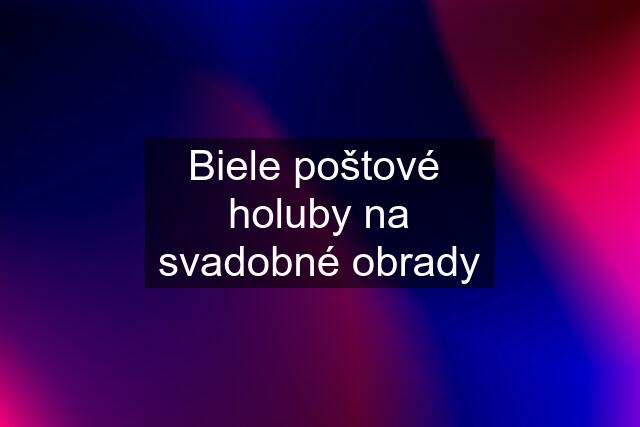 Biele poštové  holuby na svadobné obrady