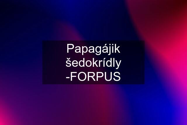 Papagájik šedokrídly -FORPUS