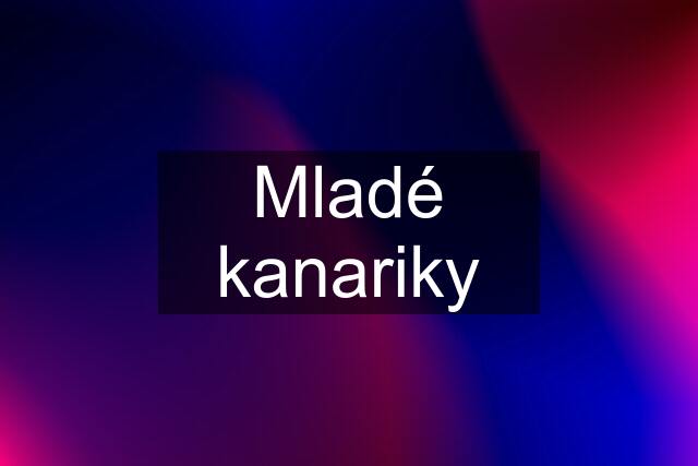 Mladé kanariky