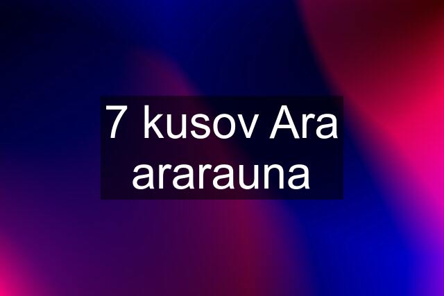 7 kusov Ara ararauna